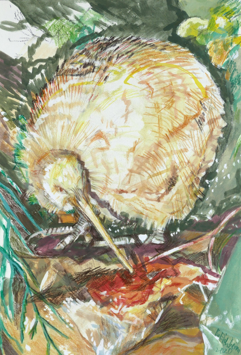 2020, Great spottet Kiwi (New Zealand), Gouache und Farbstift auf Papier, 50 x 34,5 cm